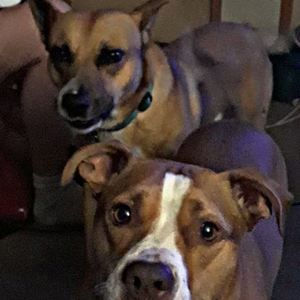 Meet your Posher, Kate